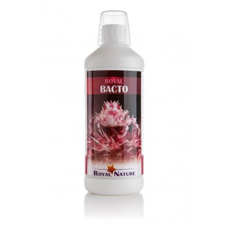 ROYAL NATURE - Bacto - 1000ml - Bacteria for start-up or maintenance