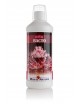 ROYAL NATURE – Bacto – 1000 ml – Bakterien für den Start oder die Erhaltung ROYAL NATURE – Bacto – 1000 ml – Bakterien für den Start oder die Erhaltung