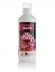 ROYAL NATURE - Bacto - 1000ml - Batteri per avviamento o mantenimento