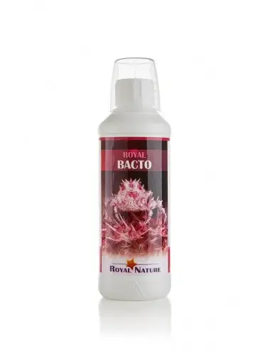 ROYAL NATURE - Bacto - 500ml - Bactéries pour le démarrage ou l’entretien