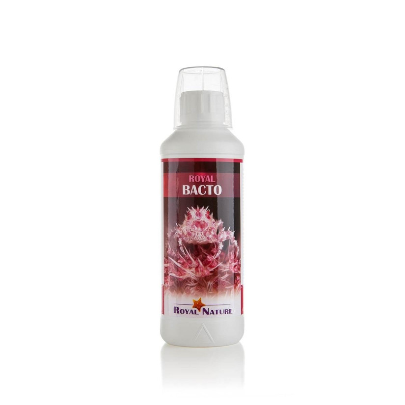 ROYAL NATURE - Bacto - 500ml - Bactéries pour le démarrage ou l’entretien