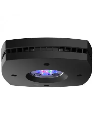 ILUMINAÇÃO AQUA - Prime 16HD 59w - Preto