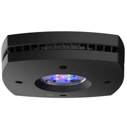 ILUMINAÇÃO AQUA - Prime 16HD 59w - Preto ILUMINAÇÃO AQUA - Prime 16HD 59w - Preto