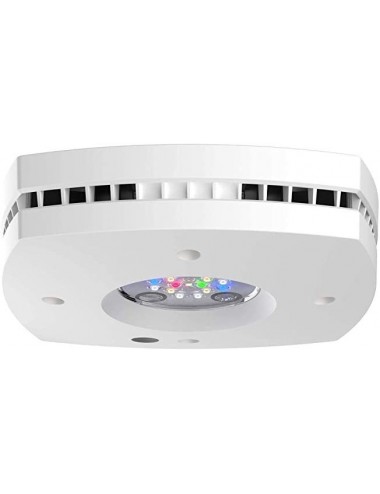 AQUA ILLUMINATION - Prime 16HD - 59w - Blanche - Rampe LED