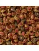 SERA - Koi All Seasons Probiotic - 5kg - Nourriture Premium pour Koi