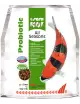 SERA - Koi All Seasons Probiotic - 5kg - Nourriture Premium pour Koi