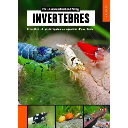 Invertébrés - Crevettes Et Gastéropodes En Aquarium D'eau Douce NMG Presse - 1 Invertébrés - Crevettes Et Gastéropodes En Aquarium D'eau Douce NMG Presse - 1