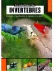 Invertébrés - Crevettes Et Gastéropodes En Aquarium D'eau Douce NMG Presse - 1 Invertébrés - Crevettes Et Gastéropodes En Aquarium D'eau Douce NMG Presse - 1