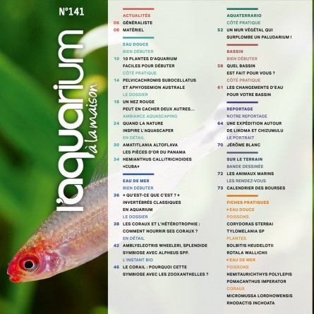 L Aquarium A La Maison Numero 141