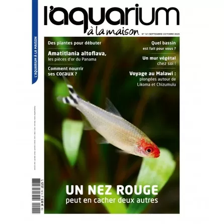 L'Aquarium à la maison - Numéro 141 NMG Presse - 1