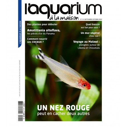 The Aquarium at Home - Number 141 NMG Presse - 1 The Aquarium at Home - Number 141 NMG Presse - 1