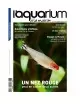 L'Aquarium à la maison - Numéro 141 NMG Presse - 1