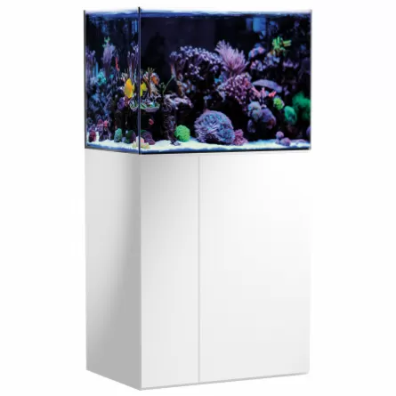 AQUA MEDIC - Armatus 250 - Blanc - Aquarium d'eau de mer