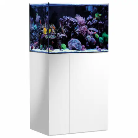 AQUA MEDIC - Armatus 250 - Blanc - Aquarium d'eau de mer