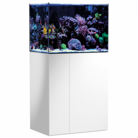 AQUA MEDIC - Armatus 250 - Blanco - Acuario de agua salada AQUA MEDIC - Armatus 250 - Blanco - Acuario de agua salada