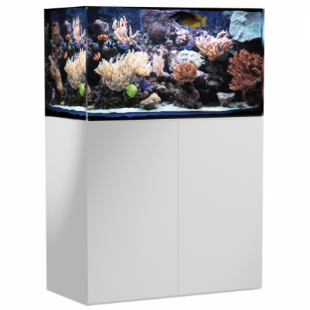 AQUA MEDIC - Armatus 300 - Blanc - Aquarium d'eau de mer