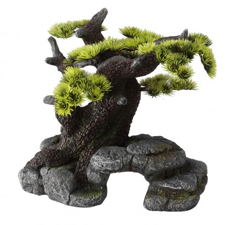 Aqua Della - Bonsai ML - 26x17.5x24cm