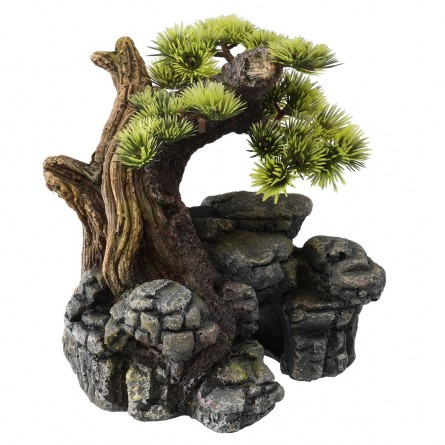 Aqua Della - Bonsai SM - 16.5x16.5x18cm