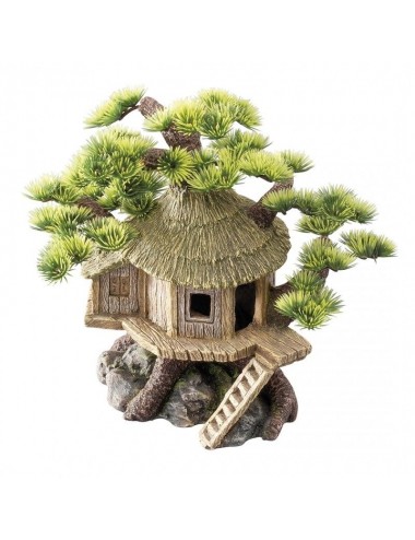 Aqua Della - Bonsaihouse - 20x15,5x20cm - Bonsaihouse