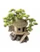 Aqua Della - Bonsaihouse - 20x15,5x20cm - Bonsaihouse Aqua Della - Bonsaihouse - 20x15,5x20cm - Bonsaihouse