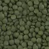 SERA - Plankton Tabs Nature - 100ml - Aliment spécial couleurs pour poissons d'ornements Sera - 2