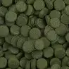 SERA - Spirulina Tabs Nature - 100ml - Color food for Sera ornamental fish - 2