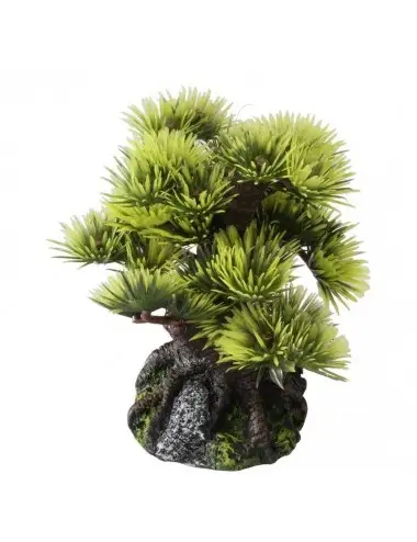 Aqua Della - Bonsai - 6ST - 9,5 cm