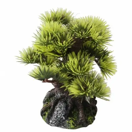 Aqua Della - Bonsai - 6ST - 9,5 CM Aqua Della - Bonsai - 6ST - 9,5 CM