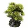 Aqua Della - Bonsai - 6ST - 9,5 CM Aqua Della - Bonsai - 6ST - 9,5 CM