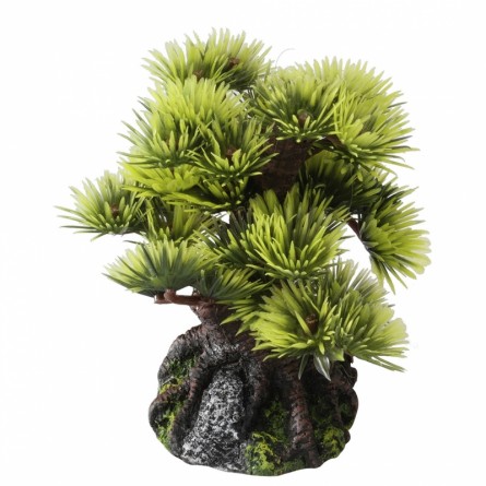 Aqua Della - Bonsai - 6ST - 15CM Aqua Della - Bonsai - 6ST - 15CM