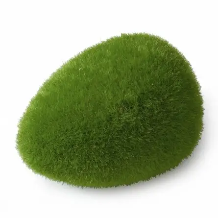 Aqua Della - Moss ball L - 11.5x9x6cm Aqua Della - Moss ball L - 11.5x9x6cm