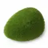Aqua Della - Moss ball L - 11.5x9x6cm Aqua Della - Moss ball L - 11.5x9x6cm
