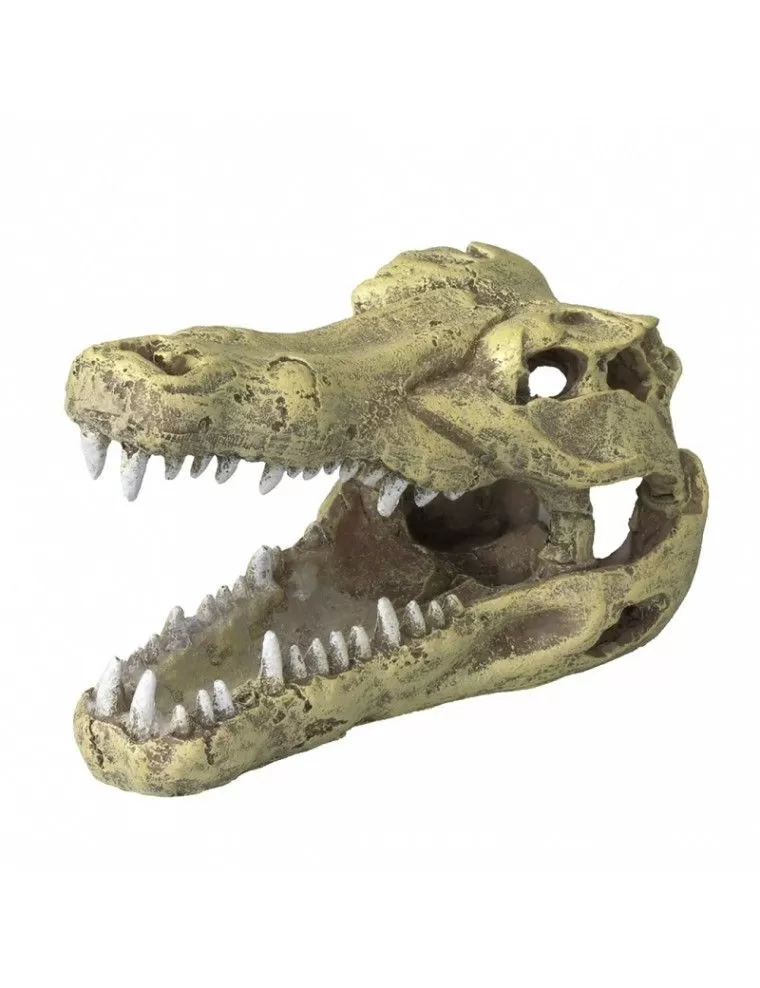 Aqua Della - Crocodile head S - 13.5x6.5x7.5cm - Crocodile head