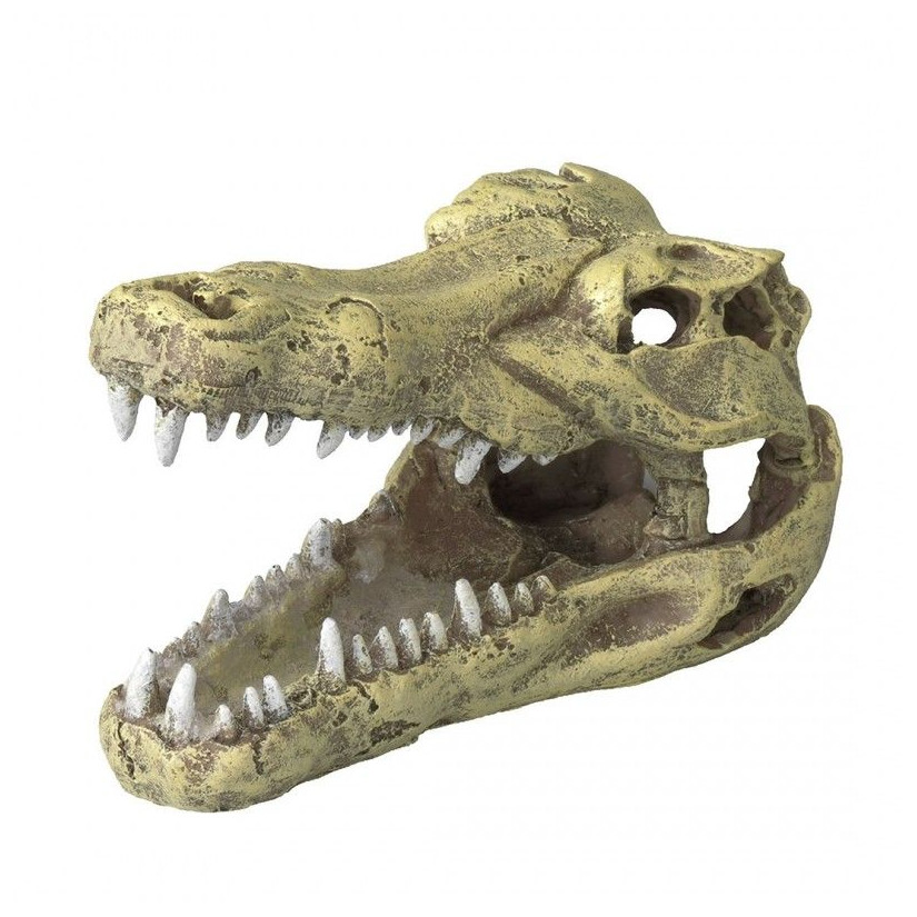 Aqua Della - Krokodillenkop S - 13,5x6,5x7,5cm - Krokodillenkop