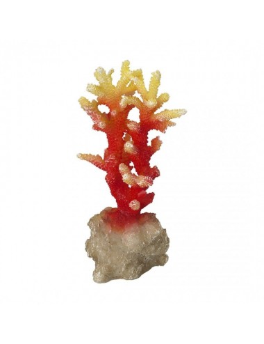 Aqua Della - Coraal acropora Orange - 7x6x14,5cm - Orangefarbene Koralle