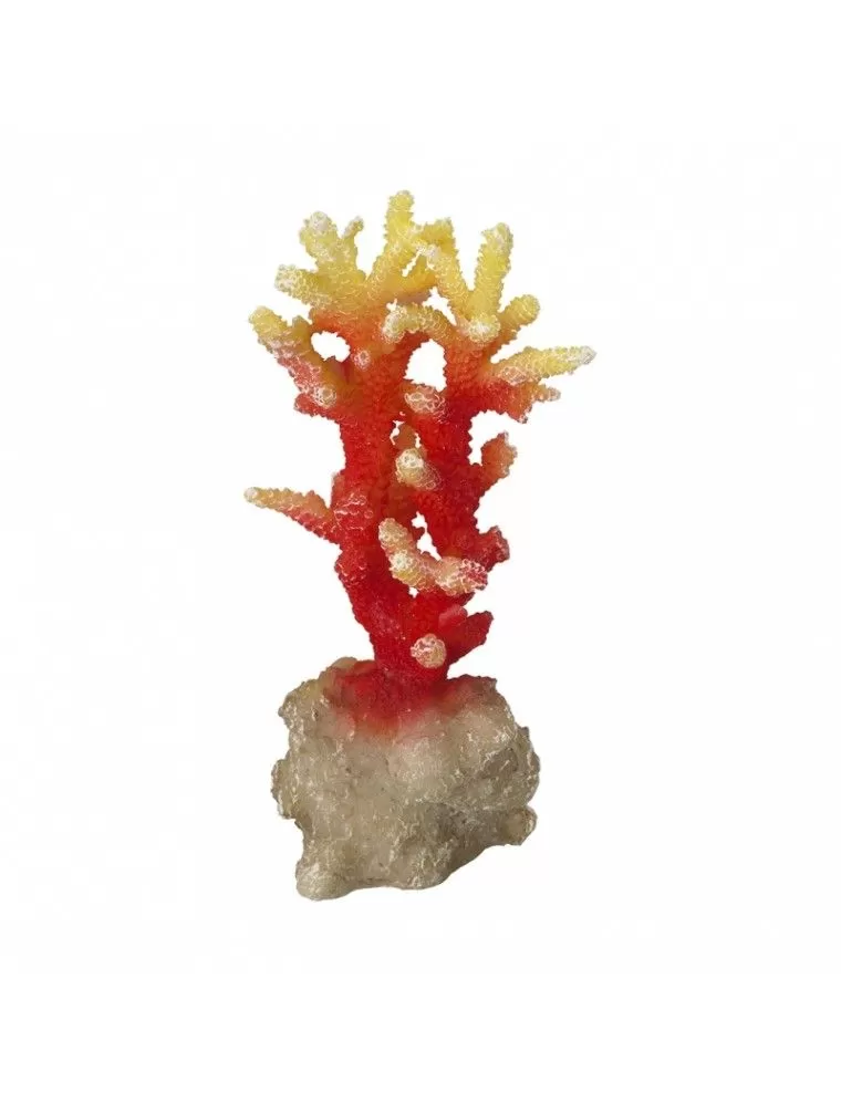 Aqua Della - Coraal acropora Oranje - 7x6x14,5cm - Oranje koraal