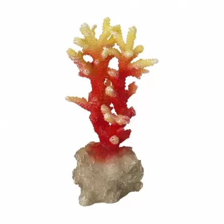 Aqua Della - Coraal acropora Oranje - 7x6x14,5cm - Oranje koraal