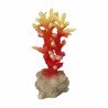 Aqua Della - Coral acropora Laranja - 7x6x14,5cm - Coral laranja