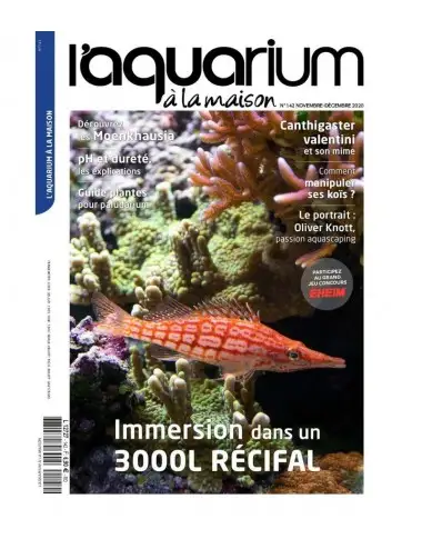 L'Aquarium à la maison - Numéro 142