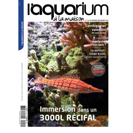 The Aquarium at home - Number 142 The Aquarium at home - Number 142