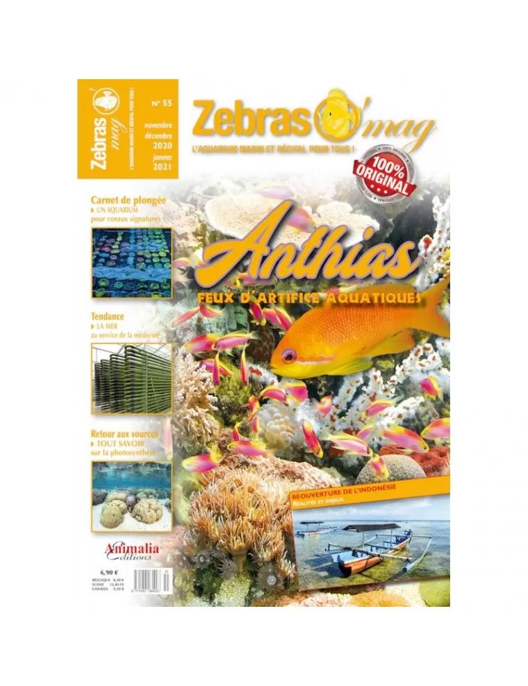 EDIZIONI ANIMALIA - ZebreO'mag N°55 Animalia Editions - 1