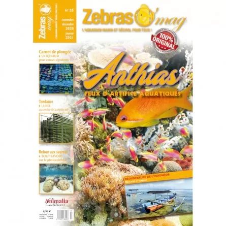ANIMALIA EDITIONS - ZebrasO'mag N°55 Animalia Editions - 1