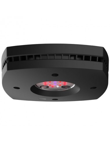 AQUA ILLUMINATION - Prime Fuge Refugium 46 W - Rampe LED pour aquarium d'eau de mer