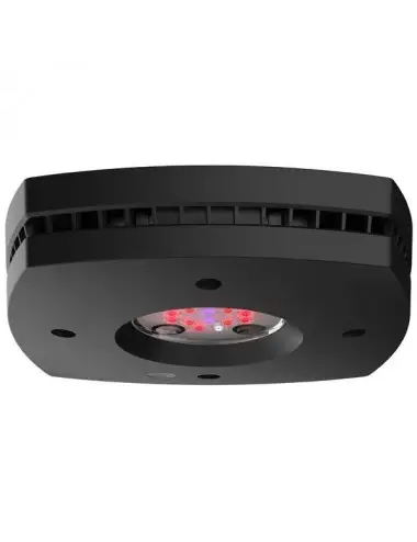 AQUA ILLUMINATION - Prime Fuge Refugium 46 W - Rampe LED pour aquarium d'eau de mer