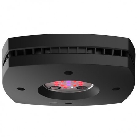 AQUA ILLUMINATION – Prime Fuge Refugium 46 W – LED-Streifen für Meerwasseraquarien AQUA ILLUMINATION – Prime Fuge Refugium 46 W – LED-Streifen für Meerwasseraquarien