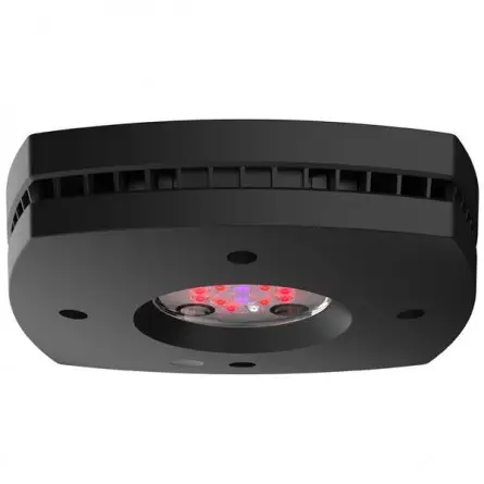 AQUA ILLUMINATION - Prime Fuge Refugium 46 W - LED trak za akvarij z morsko vodo AQUA ILLUMINATION - Prime Fuge Refugium 46 W - LED trak za akvarij z morsko vodo