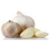 Dr. Bassleer BIOFISH FOOD Garlic - 170gr - fish food - XL