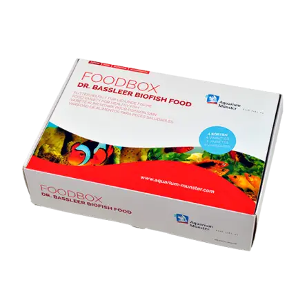 Dr. Bassleer BIOFISH Foodbox - M - Scatola di cibo per pesci Dr. Bassleer BIOFISH Foodbox - M - Scatola di cibo per pesci