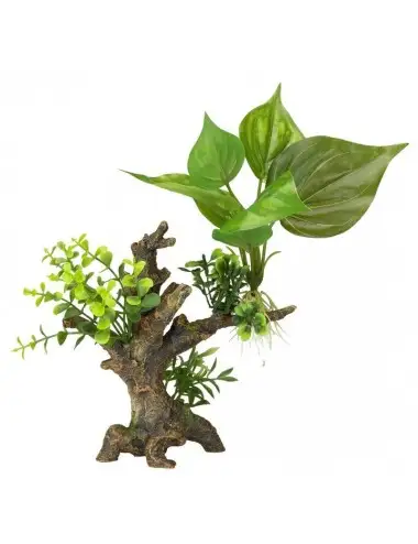 Aqua Della - Florascape 6 S - 14,5x9x16,5cm