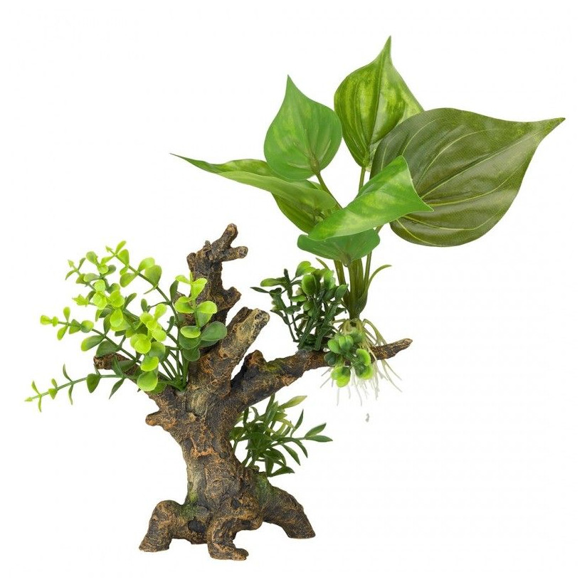 Aqua Della - Florascape 6 S - 14.5x9x16.5cm